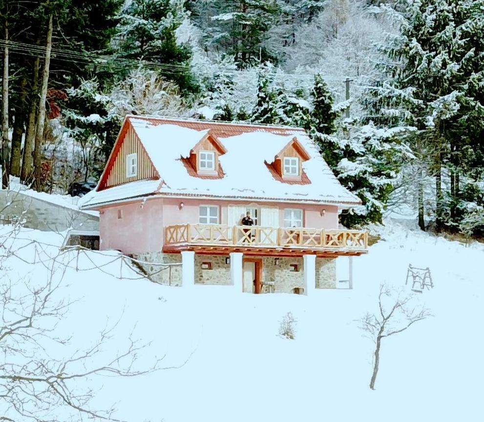 Kopanicky Dvor Guest House Hodrusa Exterior photo