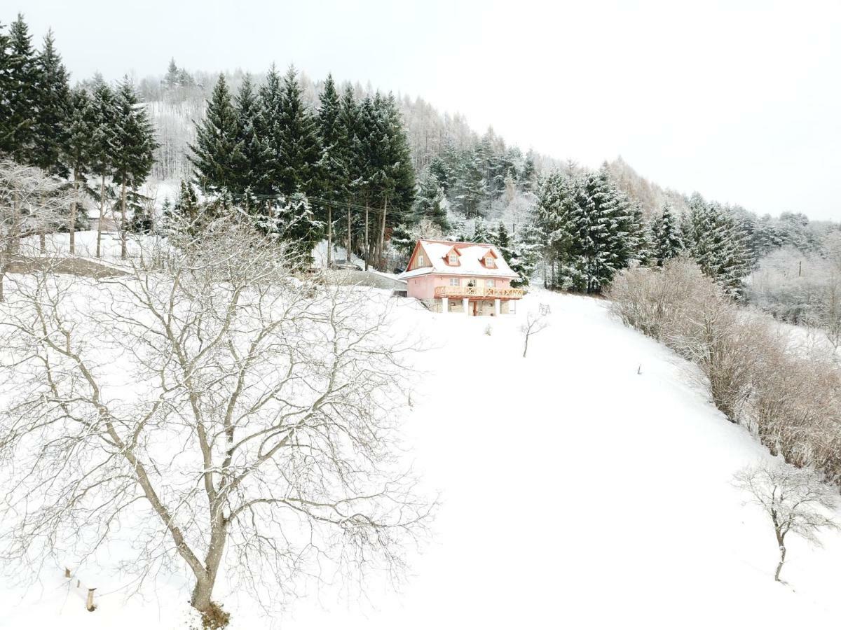 Kopanicky Dvor Guest House Hodrusa Exterior photo